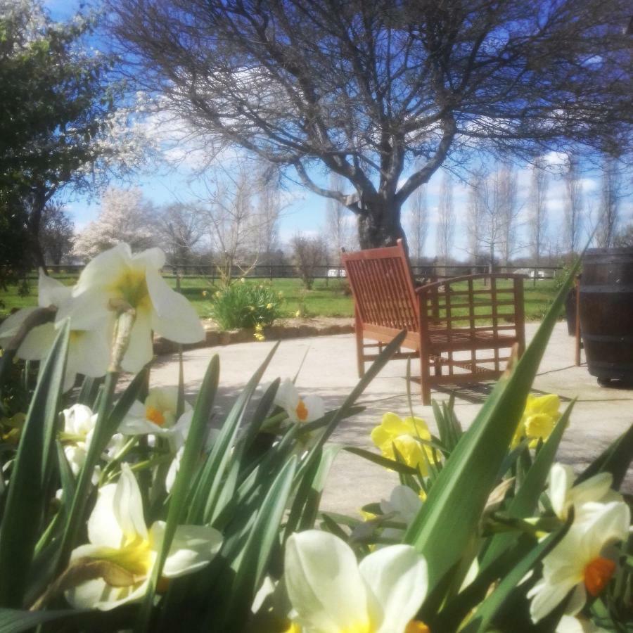 Le Pressoir De Gisay Hotel Exterior photo